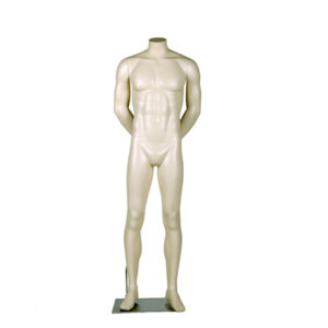 Darrol male mannequin without head - arms behind back